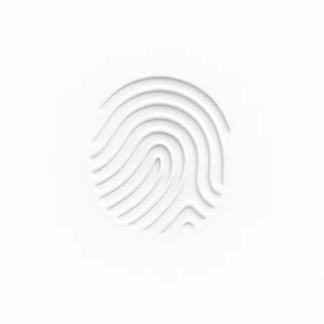 Erdem Özkök | Full Stack Developer website footer fingerprint icon.